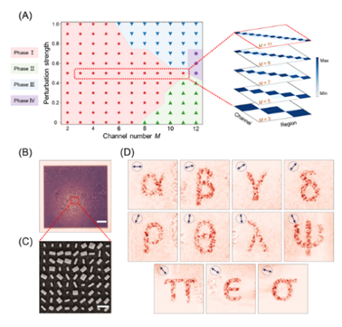 Fig4